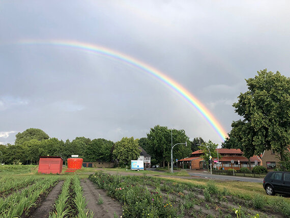 Regenbogen über Feld, Bäumen und Häusern