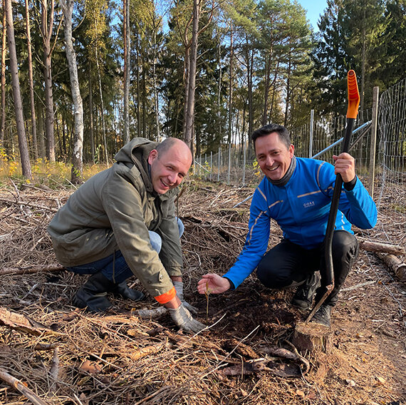 Zwei Personen pflanzen einen Baumsetzling im Wald