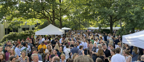 Große Menschenmenge auf Sommerfest im Park