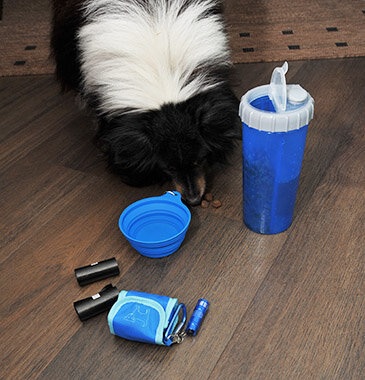 Hund mit blauem Reise-Set auf Holzboden