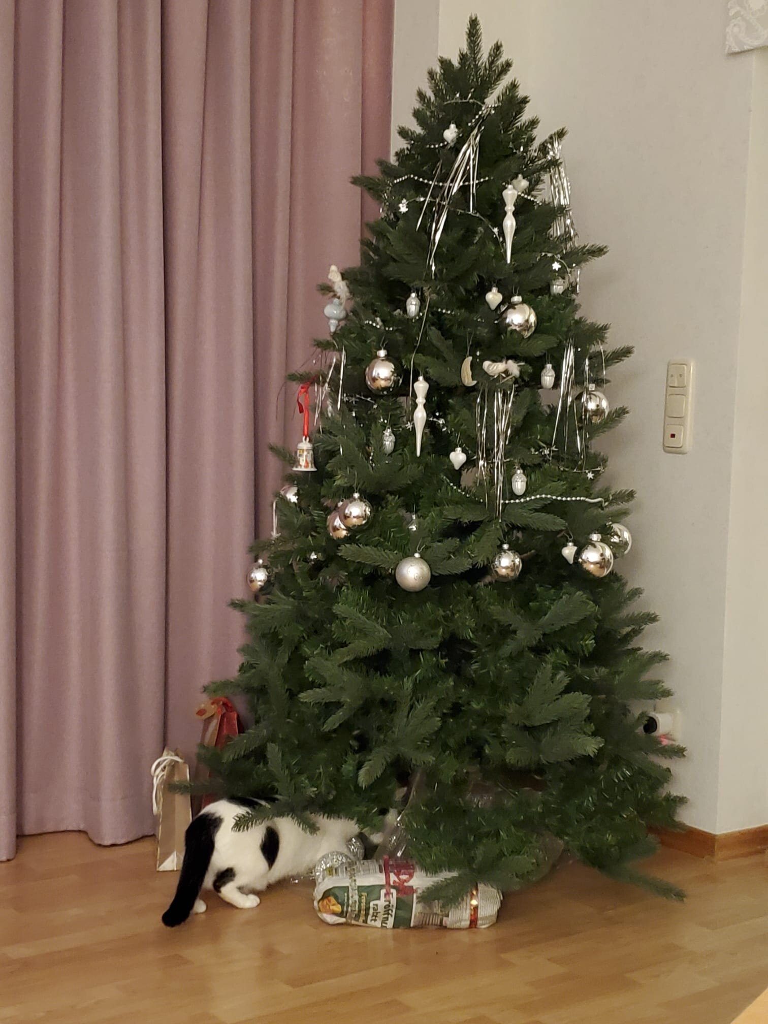 Katze schnüffelt unter geschmücktem Weihnachtsbaum