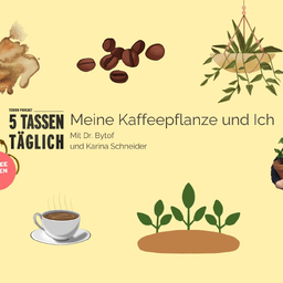kirschlorbeer dünger testsieger Bio-Kirschlorbeer-Dünger kaufen main image 1