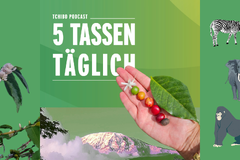 Podcastgrafik „5 Tassen täglich“ mit Kaffee und Safaritieren