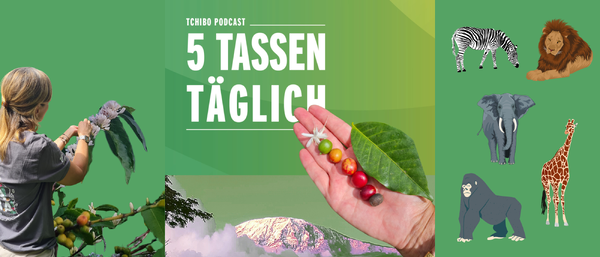 Podcastgrafik „5 Tassen täglich“ mit Kaffee und Safaritieren