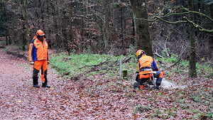 Link: Großansicht des Bildes - Bildinhalt: Und hier wird ein Baum gefällt: dafür braucht es umfangreiche Vorbereitungen.