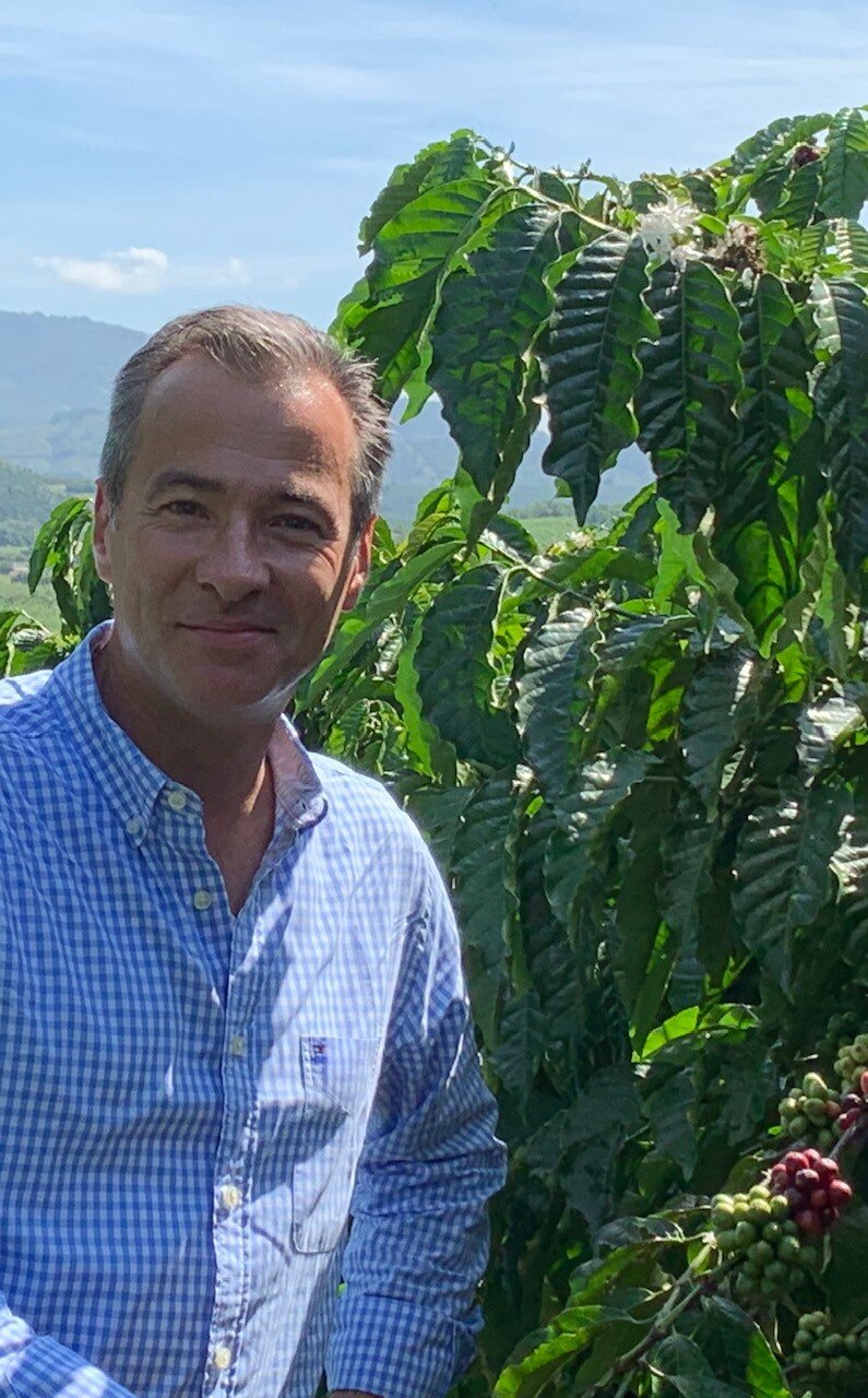 Person vor Kaffeepflanzen mit roten Beeren
