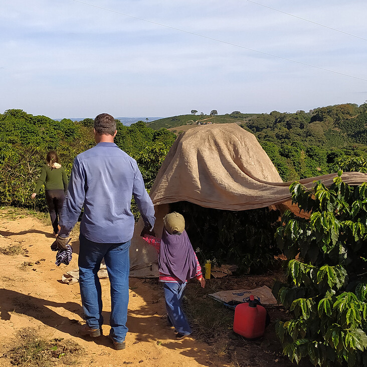 Familie läuft durch Kaffeeplantage mit Planen
