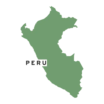 Grüne Karte von Peru auf schwarzem Hintergrund