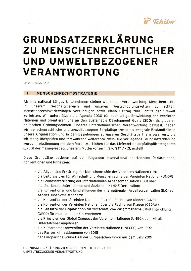 PDF-file Preview for: Grundsatzerklärung zu menschenrechtlicher und umweltbezogener Verantwortung (Deutsch)