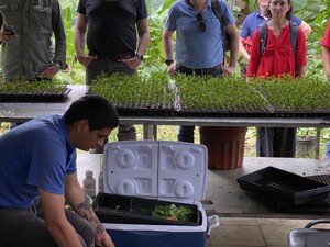 Link: Large view of image