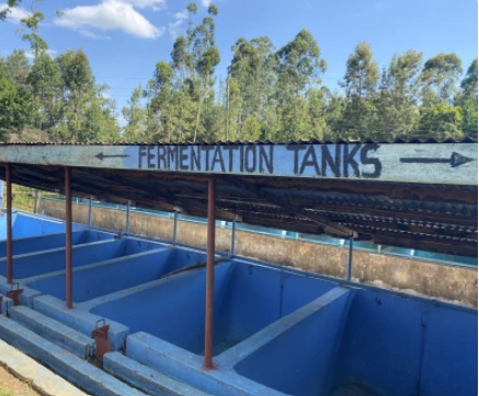 Outdoor blue fermentation tanks under a roof