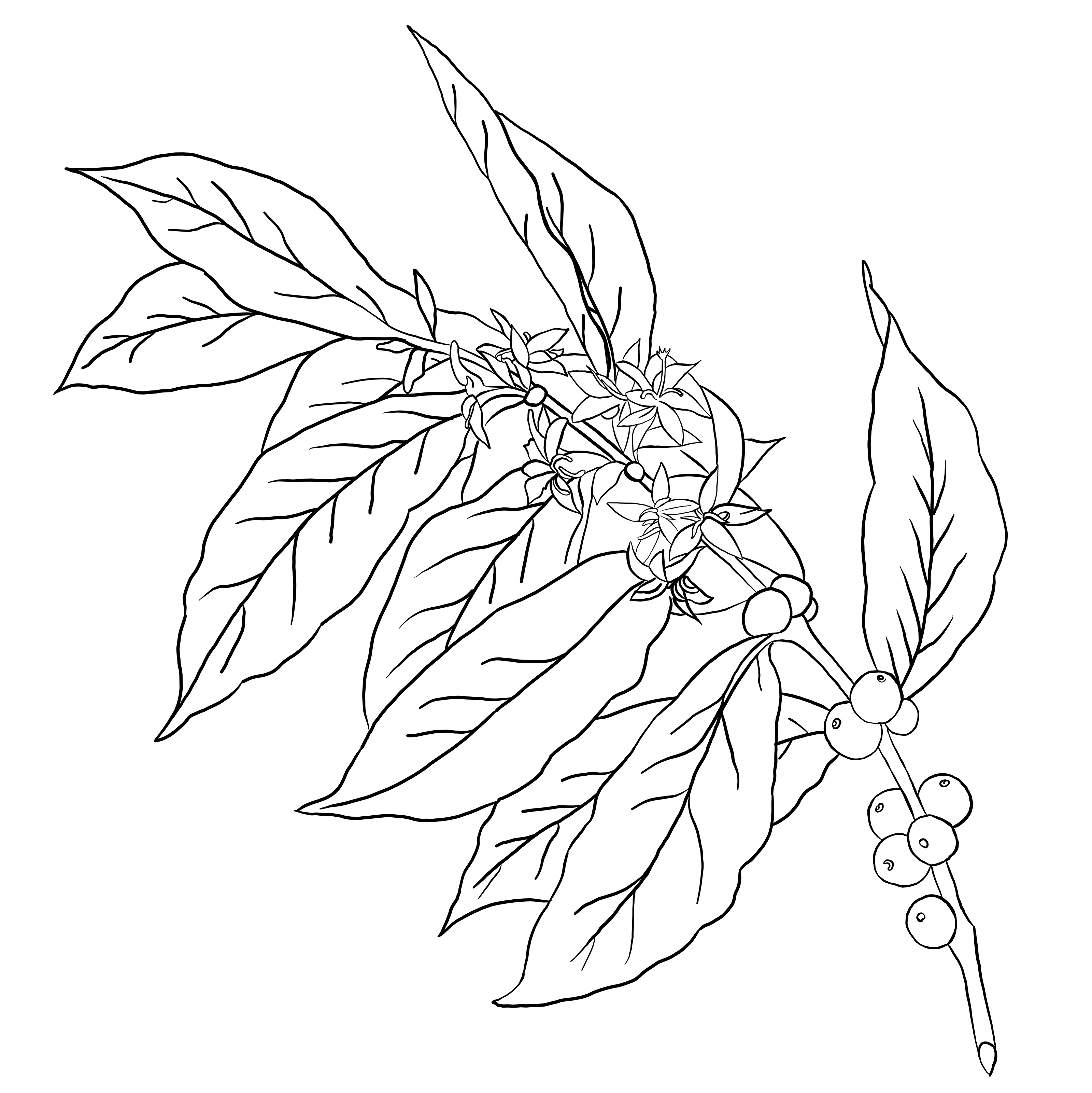 Solid black square with no visible details